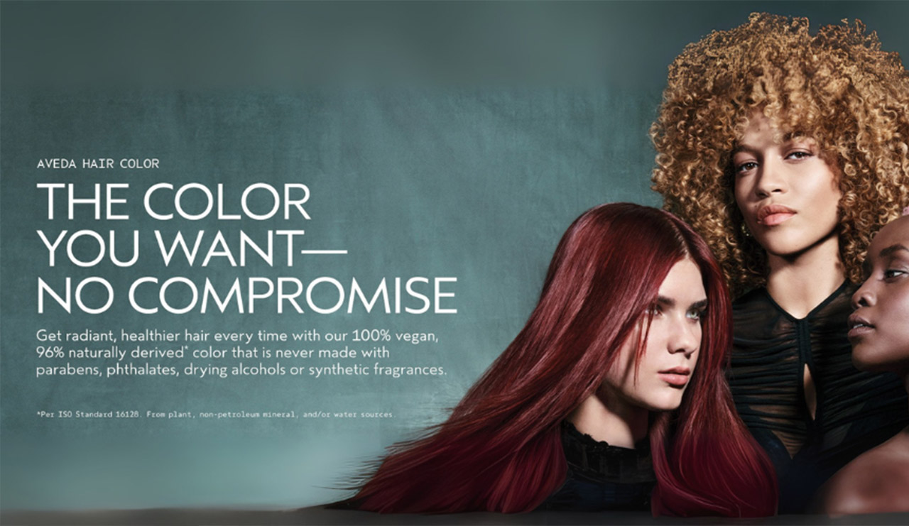 Color Promo – Slider - Karen Allen Salon + Spa